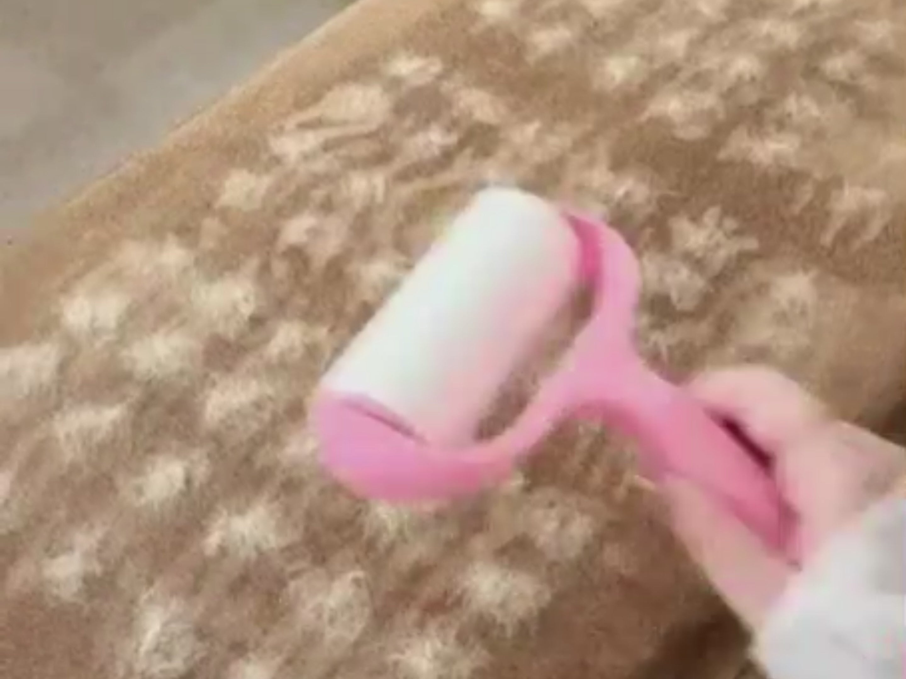 The Cozypaws™ Brush - Buy 1 Get 1 Free